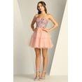 thumbnail image 1 of Women's Adora Design 1059 Short Tulle Corset Layechristmas   New Year Holiday Red A-line Prom 2026 Dress Rose Pink Size L, 1 of 1