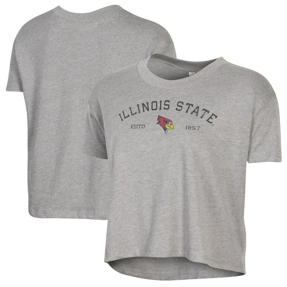 Women's Alternative Apparel  Gray Illinois State Redbirds Retro Jersey Headliner Cropped T-Shirt