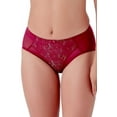 thumbnail image 1 of Women's Berlei B523 Beauty Everyday Deep Brief Panty (Burgundy S), 1 of 9