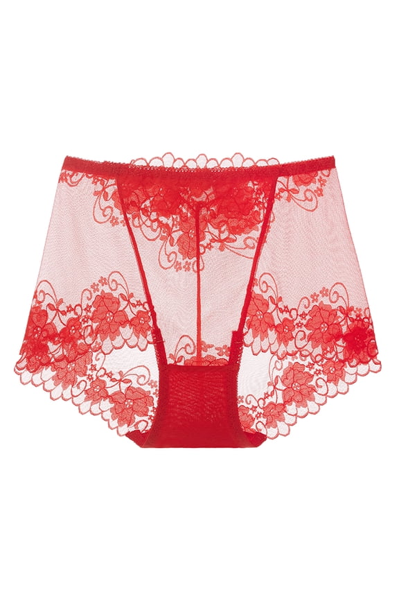 Women's Briefs G String Thongs for Women plus Size Womens V String Panties Underwear Men Bikini Women Underwear plus Size Panties Boxes Bikini Granny for Sheer Red L