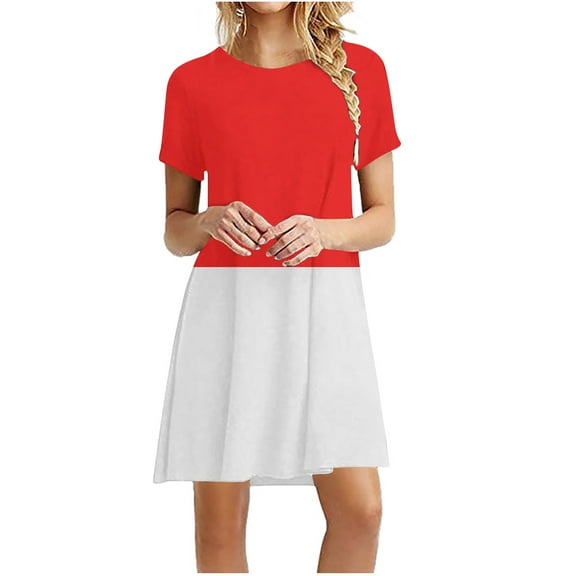 Women's Casual Color Block Simple T-Shirt Loose Dress Crew Neck Short Sleeve Casual Sun Dresses Flowy Smock Dress