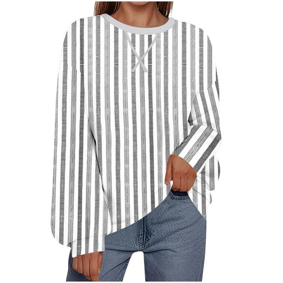 Women's Casual Long Sleeve Tops Crew Neck Round Hem Loose T-Shirts Tunic Tops