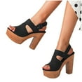 thumbnail image 1 of Women's Chunky High Heeled Sandals Platform Block Heels Fashion Peep Toe Ankle Strap Buckle Thick Sole Pumps Shoes, 1 of 2