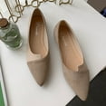 thumbnail image 1 of Women's Color Block Pointed Toe Flats, Comfortable Suede Ballet Flat Shoes, 1 of 5