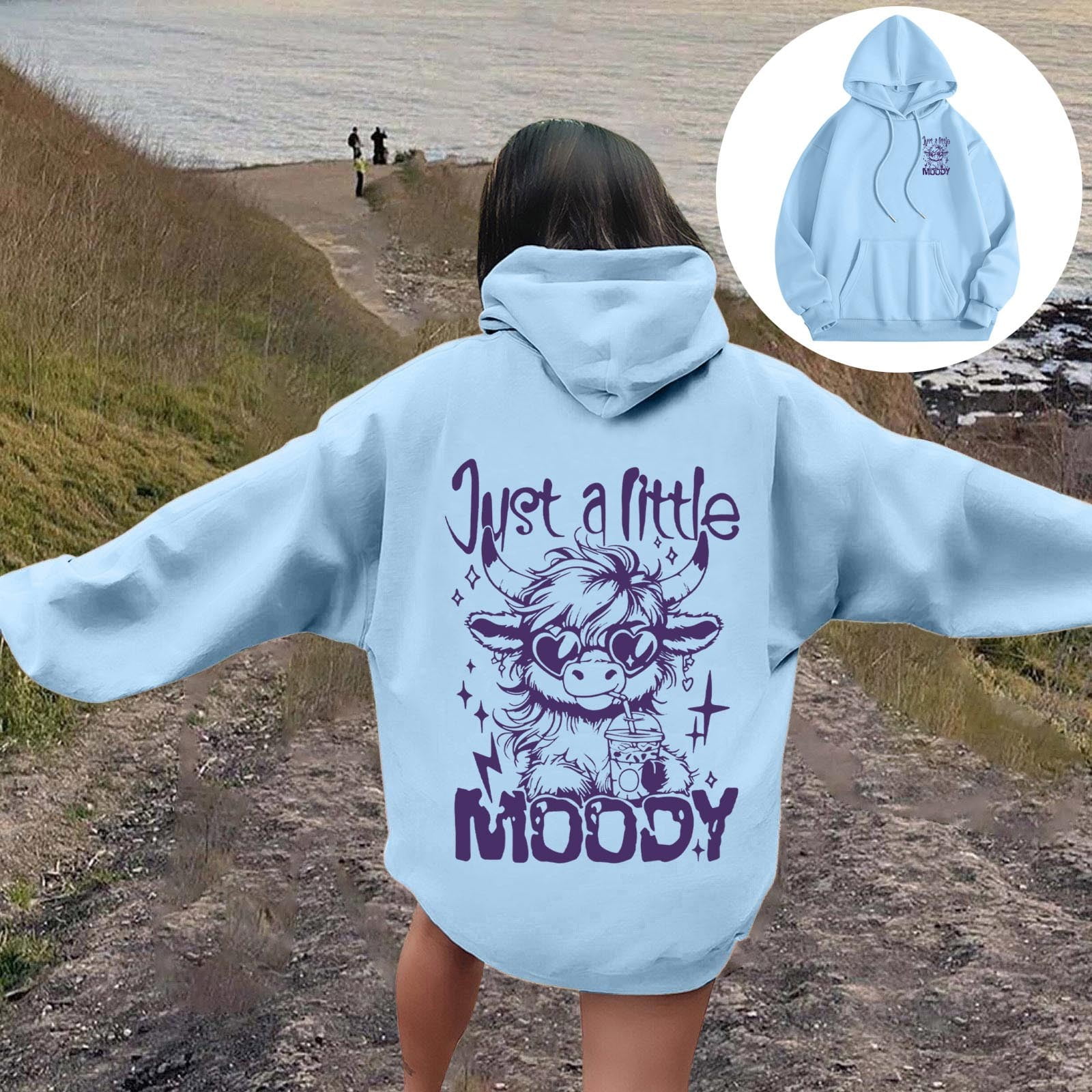 Women's Crewneck Hoodies Highland Cattle Print Long Sleeve Basic 2026 ...