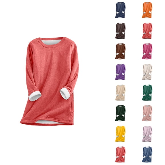 Women's Crewneck Sweatshirt 2025 Fall Winter Long Sleeve Casual Plain Basic Sweat Shirts Pullover Tops