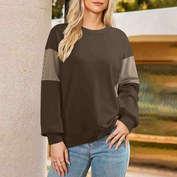 Women's Crewneck Sweatshirt, Long Sleeve Pullover Top with Loose Fit, Casual Hoodless Blouse for Daily Wear, Winter Comfort, and Fashionable Occasions