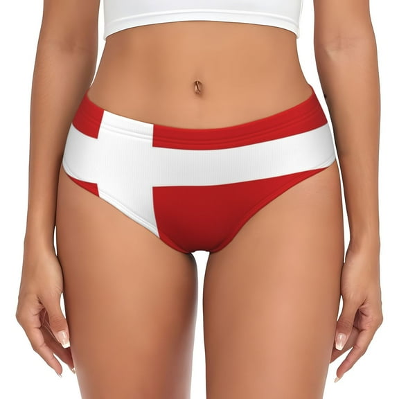 Women's Danish Flag Hipster Underwear 3D printed Bikini Panties Briefs X-Large