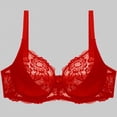 thumbnail image 1 of Women's Double Lace Plus Size Bra Push Up Corset Bustier, 38, Red, 1 of 5