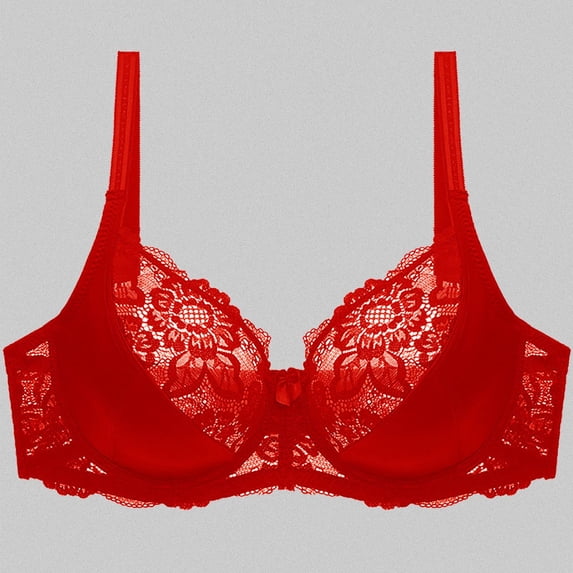 Women's Double Lace Plus Size Bra Push Up Corset Bustier, 38, Red