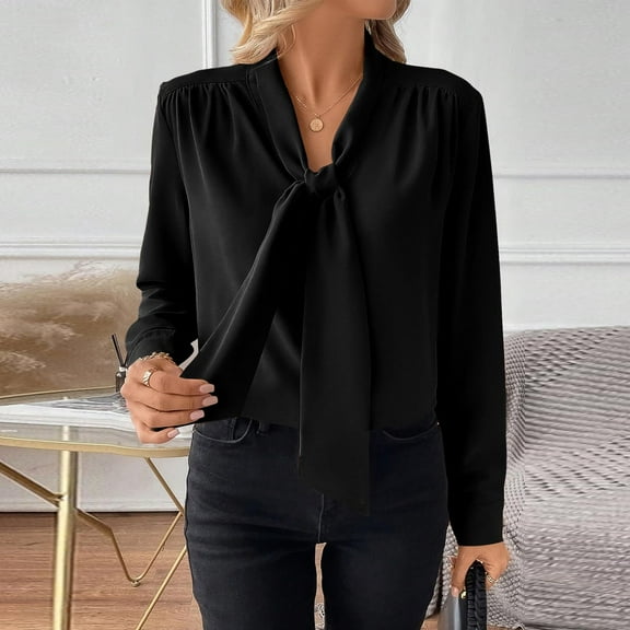 Women's Elegant Bow Tie Neck Long Sleeve Blouse Work Shirt Tops Stylish Dressy Casual Wear