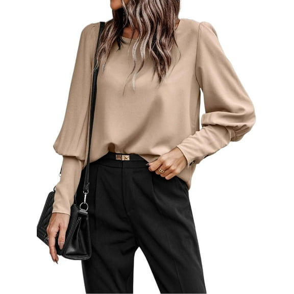 Women's Elegant Business Blouse Loose Fit Batwing Sleeve Crew Neck Back Button Decor Casual Top