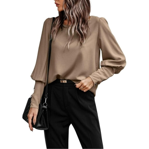 Women's Elegant Business Blouse Loose Fit Batwing Sleeve Crew Neck Back Button Decor Casual Top
