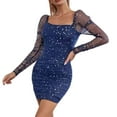 thumbnail image 1 of Women's Elegant Dress Mesh Panel Waist Cinching Sophisticated Party Evening Formal Occasion Flattering A-Line, 1 of 2