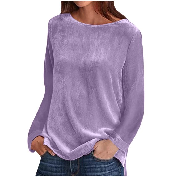 Women's Elegant Long Sleeve Tops Round Neck Vintage Velvet Blouse Velour Pullover Casual Solid Color Shirts Tees