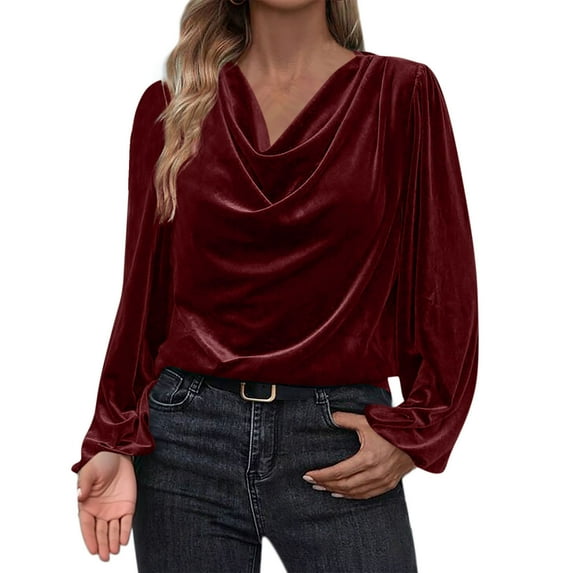 Women's Elegant Long Sleeve Tops Round Neck Vintage Velvet Blouse Velour Pullover Casual Solid Color Shirts Tees