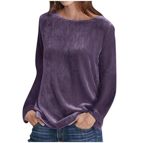 Women's Elegant Long Sleeve Tops Round Neck Vintage Velvet Blouse Velour Pullover Casual Solid Color Shirts Tees
