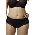 thumbnail image 1 of Women's Elila 3309 Microfiber & Stretch Lace Panties (Black 5X), 1 of 2