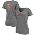 thumbnail image 1 of Women's Fanatics Heathered Gray Minnesota Golden Gophers Slab Serif 2-Hit V-Neck Tri-Blend T-Shirt, 1 of 3