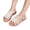 thumbnail image 1 of Women's Floral Sandals Open Toe Casual Summer Flats with Ankle Strap Low Heel Rubber Sole Dressy Beach Shoes, 1 of 5