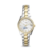Womens Fossil Silver Tulsa Community College Scarlette Mini Two-Tone Stainless Steel Watch