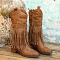 thumbnail image 1 of Women's Fringe Stud Chunky Heel Mid Calf Boots,Classic Pointed Toe Side Zipper Comfort Boots Retro Stacked Heel Western Cowgirl Cowboy Boots, 1 of 5