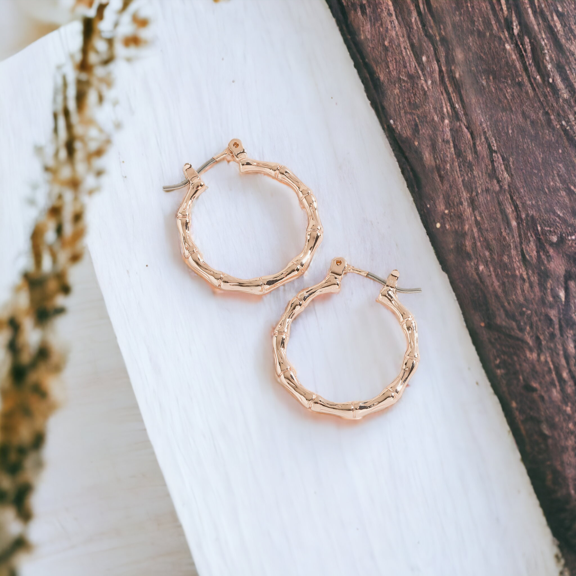 Women's Gold Shiny Round Click Hoop Earrings by Howard's