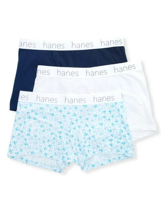 Hanes Womens Plus Size Basic Panties in Women's Plus Size Bras