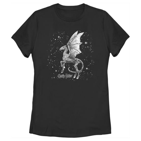 Women's Harry Potter Black and White Thestral Graphic Tee Black Large