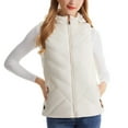 thumbnail image 1 of Women's Heated Vest Winter Cold Resistant Usb Electric 11 Zone Smart Warming Layer Heated Vest with Hood Sleeveless Jacket Regular Fit Womens Vests Fashion Casual, 1 of 9
