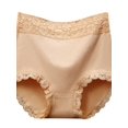thumbnail image 1 of Women's High Waist Subtle Beauty Lace Brief Panty, 1 of 5