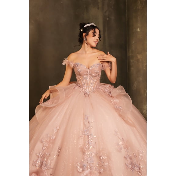 Women's Layla K LK270 Off-Shoulder Floral Applique Ball Gown Quinceaera Dress-New Collection Pink 6