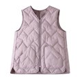 thumbnail image 1 of Women's Lightweight Padded Sleeveless Vest Solid Basic Layering Quilted Gilet Loose Fit Fall Winter Casual Warm Waistcoat with Pocket Purple, 1 of 5