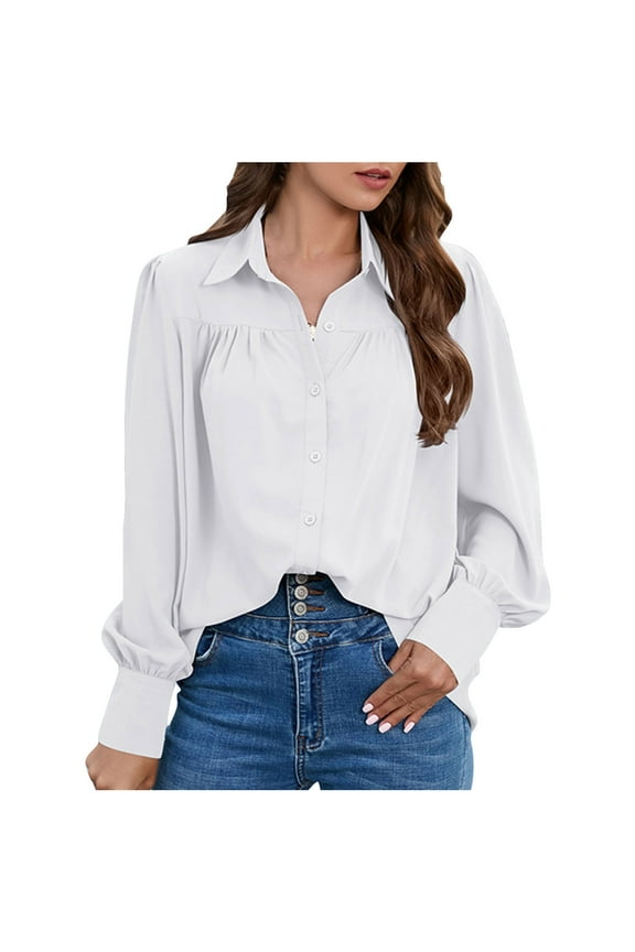 Women's Long Sleeve Chiffon Shirt Lapel Collar Blouse Business Work Office Shirt Elegant Women's Dressy Summer Casual Shirt Going Out