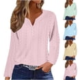 thumbnail image 1 of Women's Loose Fit Long Sleeve Crewneck Tops Shirts Blouses Solid Color Plain Casual Daily Wear Business Casual Work Office Fashion Essential Gift for Women | CSEONE,Light Blue XL, 1 of 5