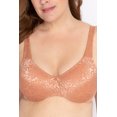 thumbnail image 1 of Women's Lunaire 13511 Jacquard Minimizer Bra (Cork 46DDD), 1 of 2