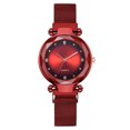 thumbnail image 1 of Women's Magnetic Mesh Strap Watch, Womens Watches Luxury Quartz Wristwatch with Gradient Effect, Elegant Ladies Fashion Analog Watch for Women, 1 of 3