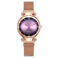 thumbnail image 1 of Women's Magnetic Mesh Strap Watch, Womens Watches Luxury Quartz Wristwatch with Gradient Effect, Elegant Ladies Fashion Analog Watch for Women, 1 of 3
