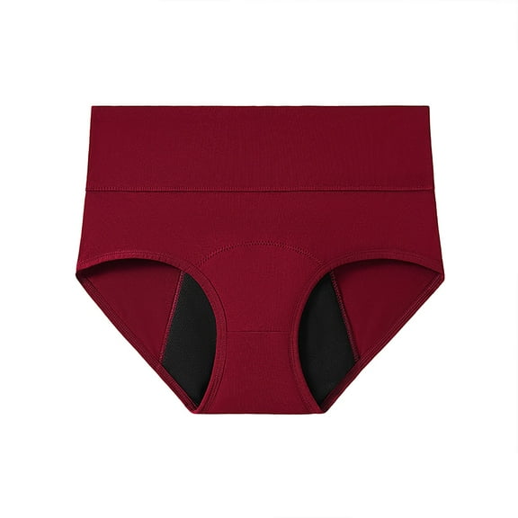 Women's Pants Four Layer Leak Proof Absorbent Reusable Underwear, High Absorbency, Leakproof Design, Reusable & Washable