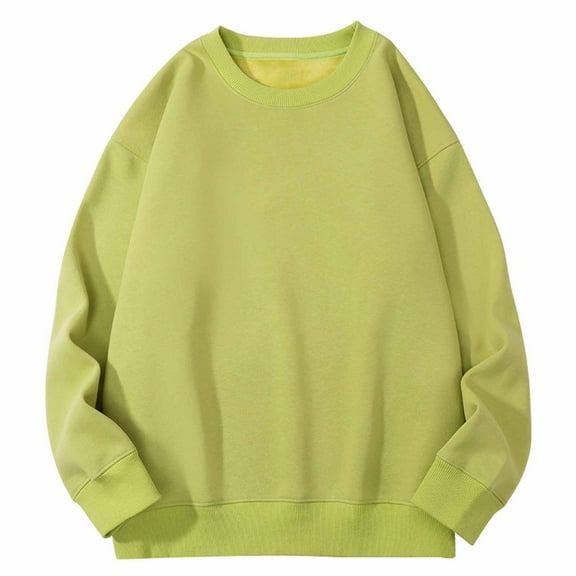 Women's Plus Size Crewneck Sweatshirt Everyday Comfort Round Neck Long Sleeve Top