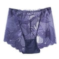 thumbnail image 1 of Women's Plus Size High Waist Lace Underwear Seamless Comfortable Breathable Soft Stretch Panties Briefs, 1 of 3