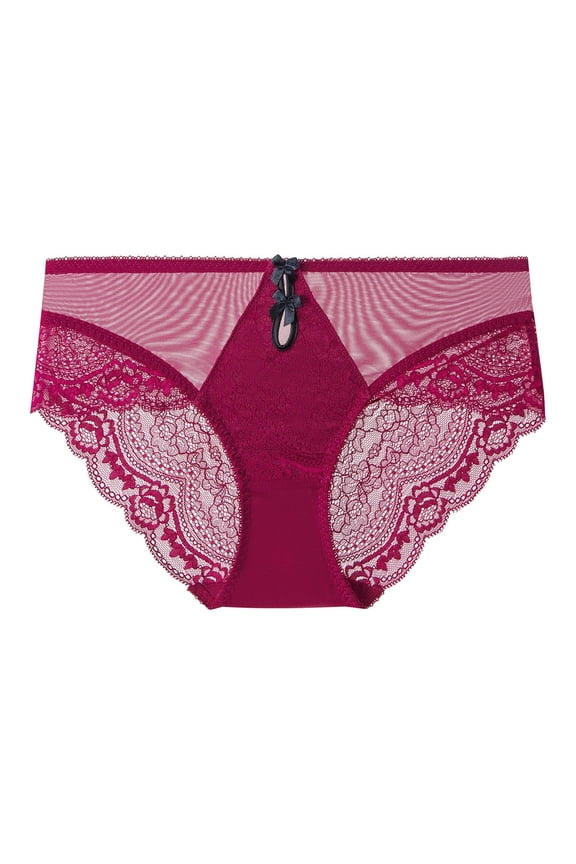 Women's Plus Size Lace Underwear, Soft Stretchy Breathable Fabric, No Show Seamless Hipster Bikini Elastic Waistband Curvy Comfort Panties S-2XL