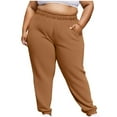 thumbnail image 1 of Women's Plus Size Sweatpants Fashion Solid Color Elastic Waist Baggy Comfy Casual Jogger Pants with Pockets Brown 3X-Large, 1 of 6