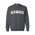 thumbnail image 1 of Women's Plus Sweatshirts and Hoodies - Hawaii, 1 of 5