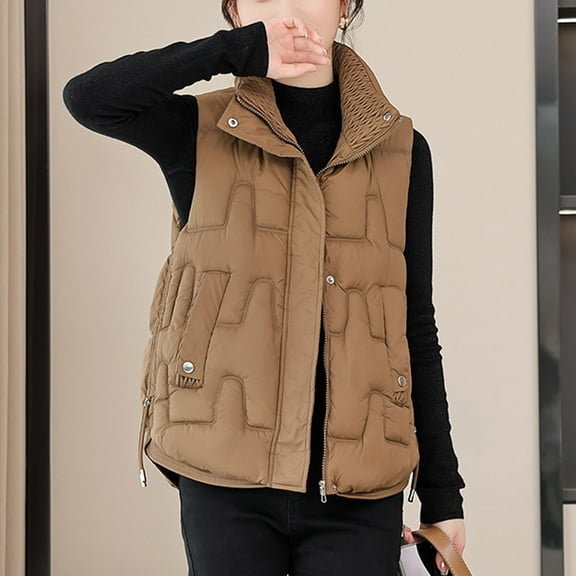 Women's Puffer Vest Lightweight Sleeveless Jacket Stand Collar Zip Up Quilted Coats Warm Winter Outdoor Casual Travel Hiking