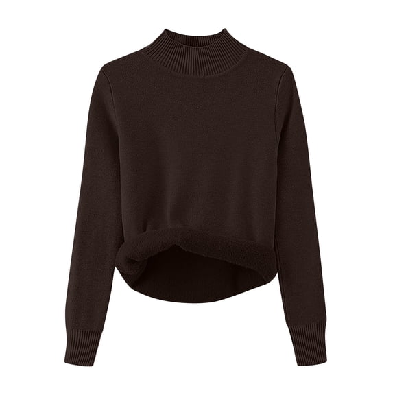 Women's Pullover Round Neck Solid Color Plush Sweater Casual Outfits Fall Clothes Fashion Basic Winter Clothing