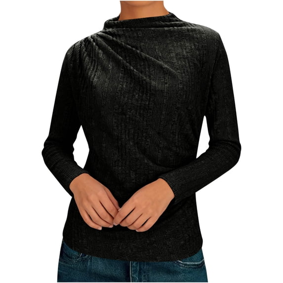 Women's Ribbed Brushed Long Sleeve Shirt Fall Petite Fashion High Neck Pleated Tops Black