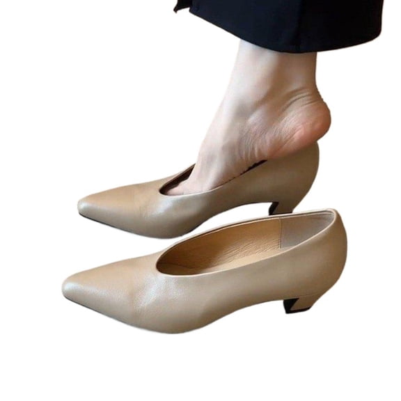 Women’s Slip On Pointed Toe Heels, Vintage Low Chunky Heel Pumps with Shallow Cut, Comfortable Classic Dress Shoes for Work and Everyday Wear