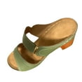 thumbnail image 1 of Women's Slippers Summer Chunky Heels Open Toe Slip-On Sandals Casual Daily Shoes for Women Beach Fashion Green 9.5, 1 of 4