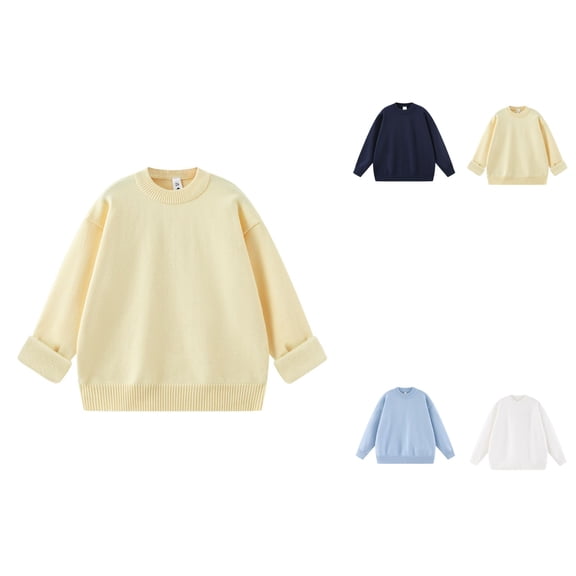 Women's Solid Long Sleeve Crew Neck Sweater – Lined Casual Fall Winter Knit Pullover with Trendy Cable Knit Design